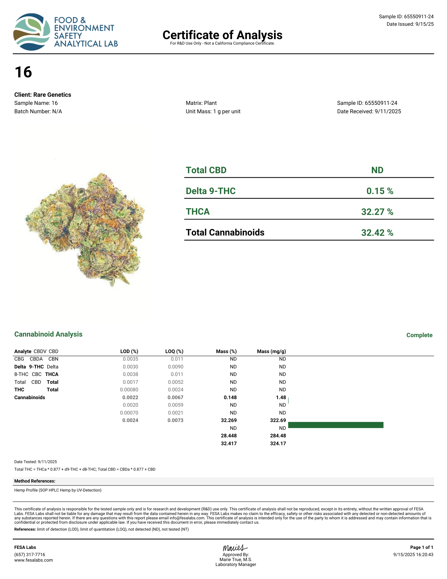 #16 RUNTZ X LCG (Hybrid) | THCA Hemp Flower