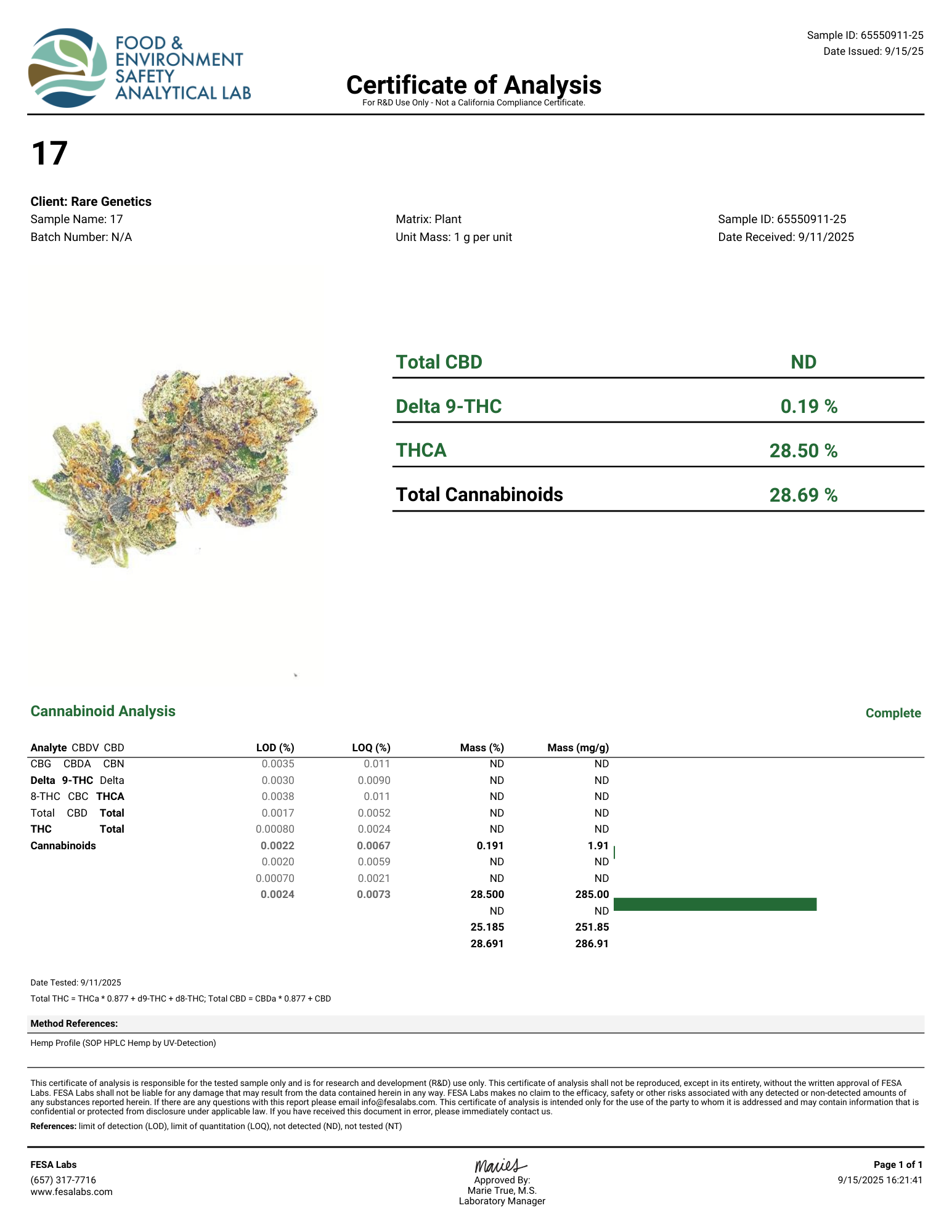 #17 RUNTZ (Hybrid) | THCA Hemp Flower