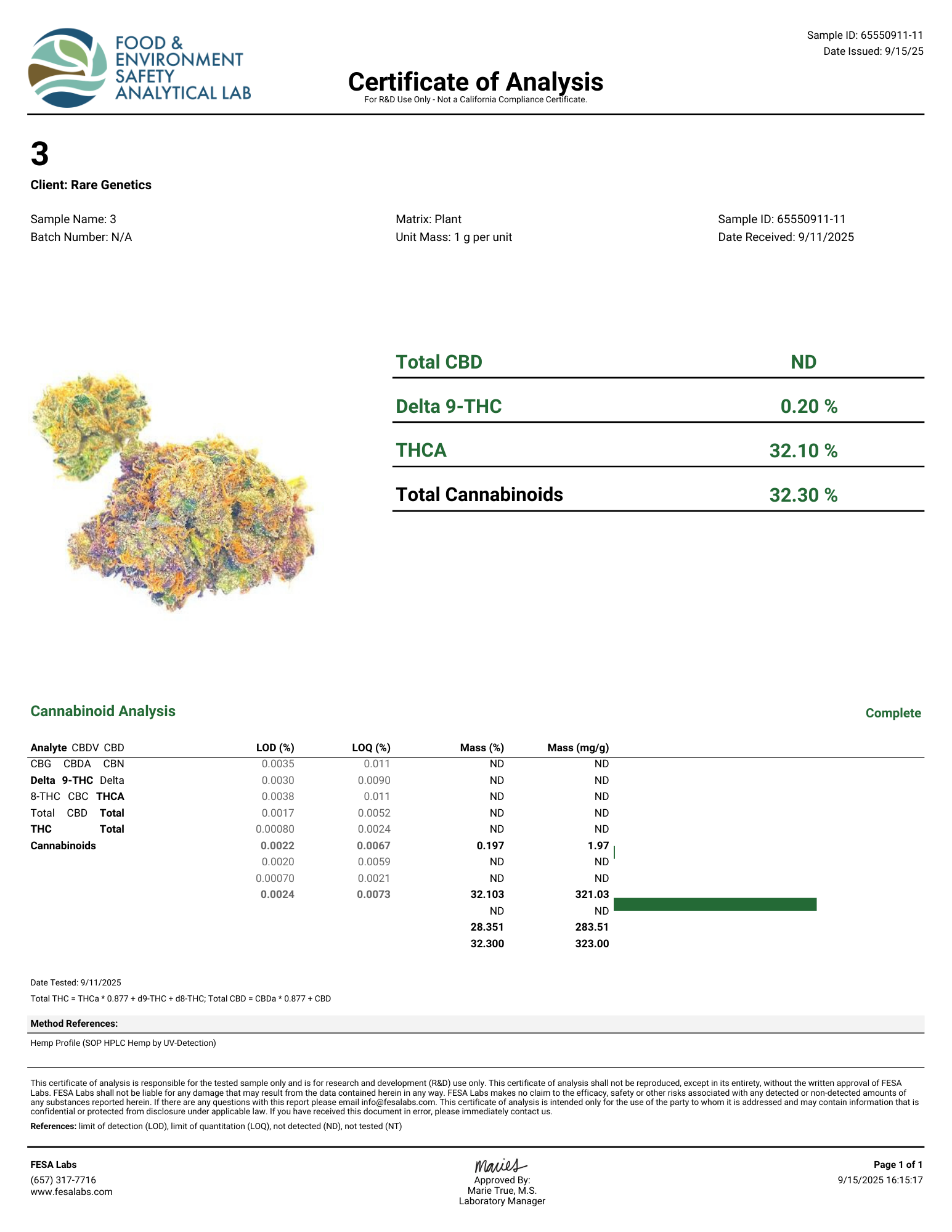 #03 BOLO RUNTZ (Indica) | THCA Hemp Flower