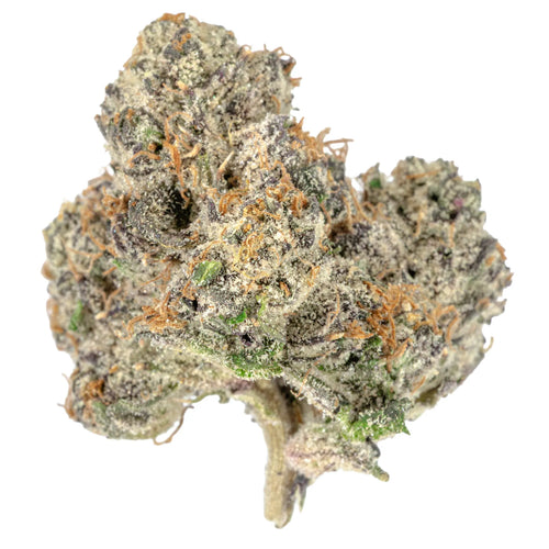 #03 BOLO RUNTZ (Indica) | THCA Hemp Flower